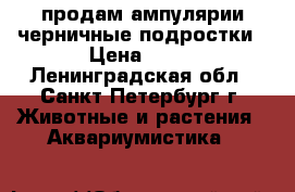 продам ампулярии черничные подростки › Цена ­ 10 - Ленинградская обл., Санкт-Петербург г. Животные и растения » Аквариумистика   